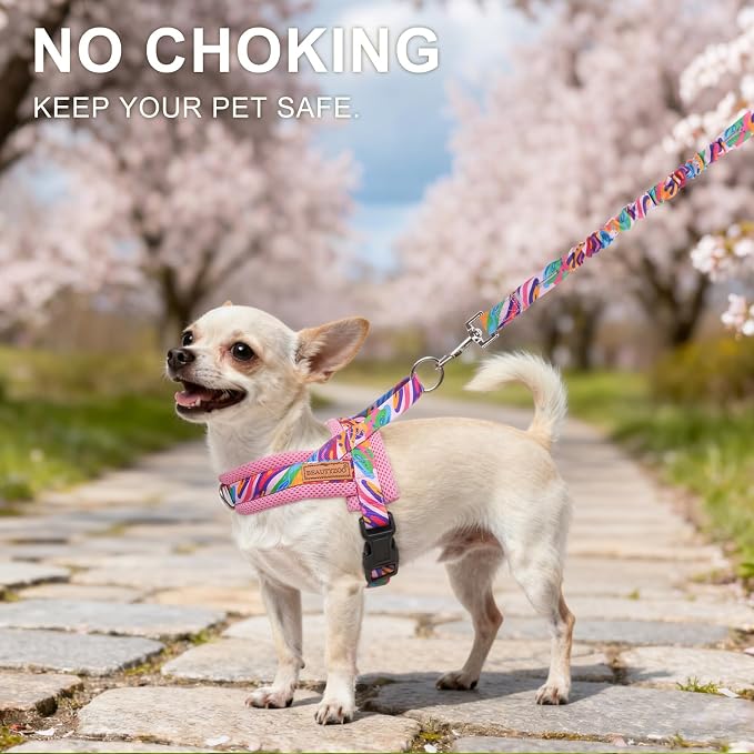 BEAUTYZOO Dog Harness for Small Dogs,No Pull Dog Harness and Leash Set,Soft Breathable Escape Proof Puppy Vest Harnessss with Handle,Lightweight Quick Fit Harness for Girl Boy Dogs Training Walking,S - Image 2