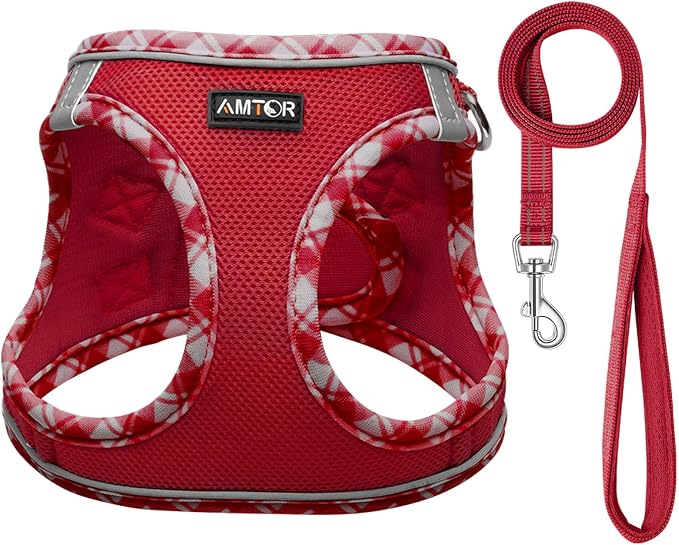 AMTOR Small Dog Harness with Leash Set, No Escape Easy Walk Puppy Harnesses for Training Walking, Step-in Reflective Soft Dogs Vest for XS S Medium Extra-Small Large Sized Dog(Red/White,XXS) - Image 2