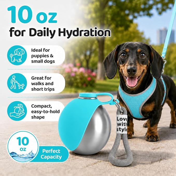 Portable Pet Dog Water Bottle with Silicone Collapsible Bowl, 10 oz Blue | Stainless Steel Pet Travel Dispenser with Rope | Dogs on Walks Hiking Accessories | Puppy Small Pets Essentials - Image 7
