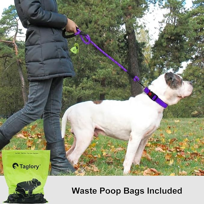 Taglory Rope Dog Leash for Medium Large Dogs, 4 FT Padded Handle, Purple | Climbing Rope for Strong Pullers, Reflective for Night Walks and Training, Comfortable Grip, Anti-tangle Swivel Clip 1/2 inch - Image 2