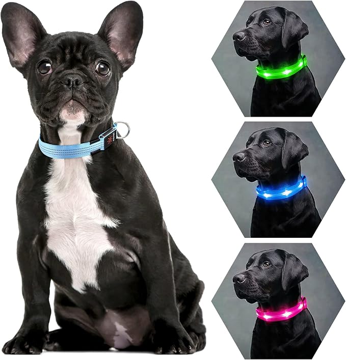 Weesiber Light Up Dog Collars - Rechargeable LED Collar - Reflective Adjustable Dog Lights for Night Walking (Blue, Large) - Image 7