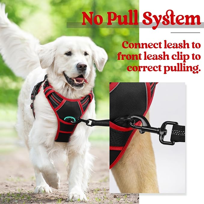rabbitgoo Dog Harness, No Pull for Large Dogs with 2 Leash Clips, Pet Vest | No Choke with Handle, Adjustable Soft Padded, Reflective, Easy Control for Walking, Black & Red, Large - Image 6