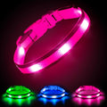 Illumifun Light Up Dog Collar - USB Rechargeable LED Dog Collar Glow in the Dark, High Visibility Glow Collar Light for Nighttime Walking (Medium, Light Pink) by Illumifun