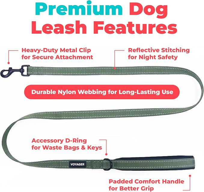 Best Pet Supplies Voyager Nylon Dog Leash - Moss Green, Medium | 5ft in Length, 3/4" in Width, Reflective, Soft Neoprene Handle, Heavy Duty Metal Clips for Running, Walking & Training - Image 2