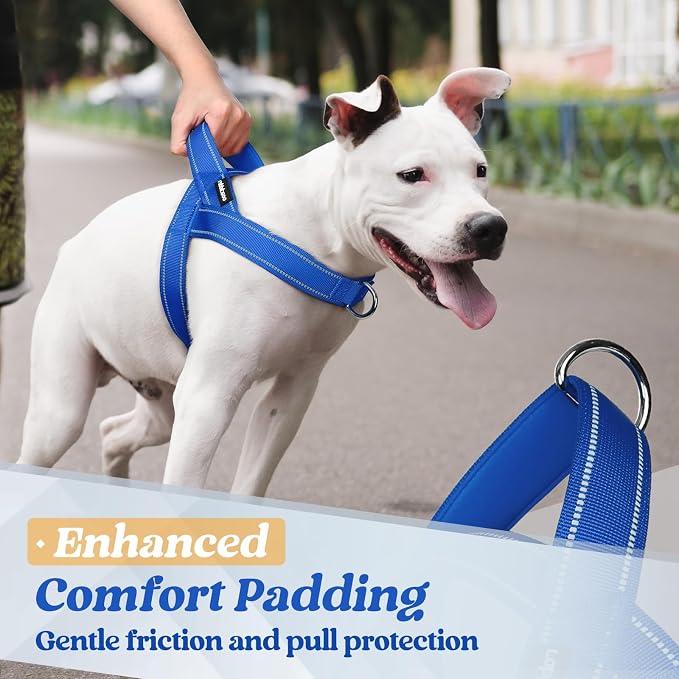 rabbitgoo Dog Harness No Pull, Quick Fit for Medium Sized Dog, Reflective | Chest Adjustable Pet Vest with Soft Padded Handle, No Choke Escape Proof for Walking Training, Blue M - Image 6