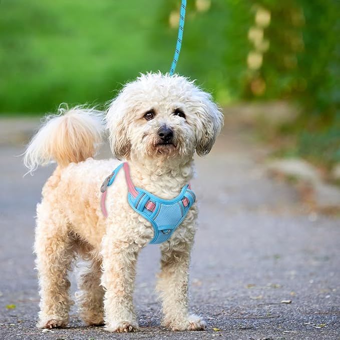 BARKBAY No Pull Dog Harness Large Reflective Dog Harness with Front Clip and Easy Control Handle for Walking Training Running with ID tag Pocket(Baby Blue & Baby Pink,S) - Image 9