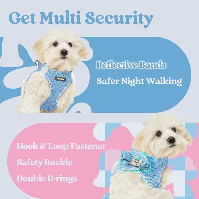 rabbitgoo Step-in Small Dog Harness, Puppy Vest for Small Sized Pet | Easy Put on and off, Lightweight, Soft, Breathable Quick-Dry Air Mesh for Comfortable Secure Walking, Blue & Plaid Trim M - Image 8