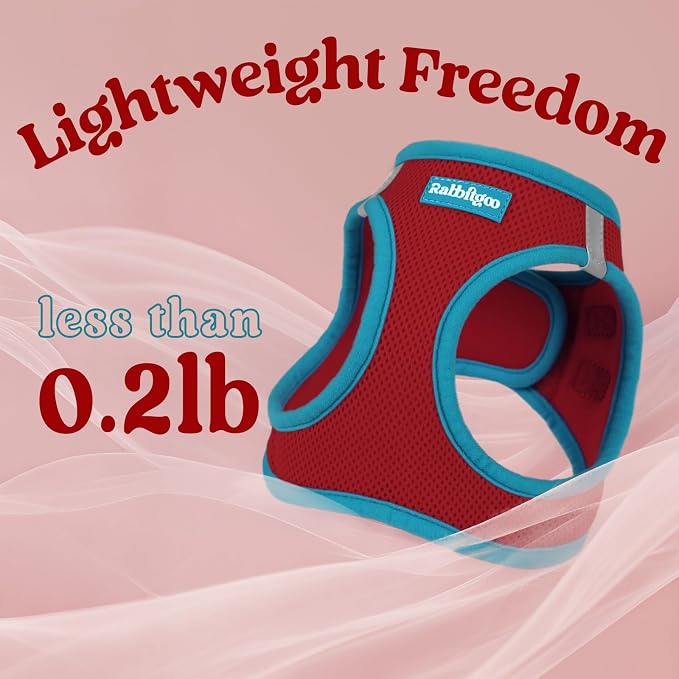 rabbitgoo Dog Harness Small Sized and Leash Set, Step in Soft Vest | Breathable Mesh, Easy Wear with Hook & Loop, Light and Reflective for Walking, Multi-colored, Red & Teal, XS - Image 6