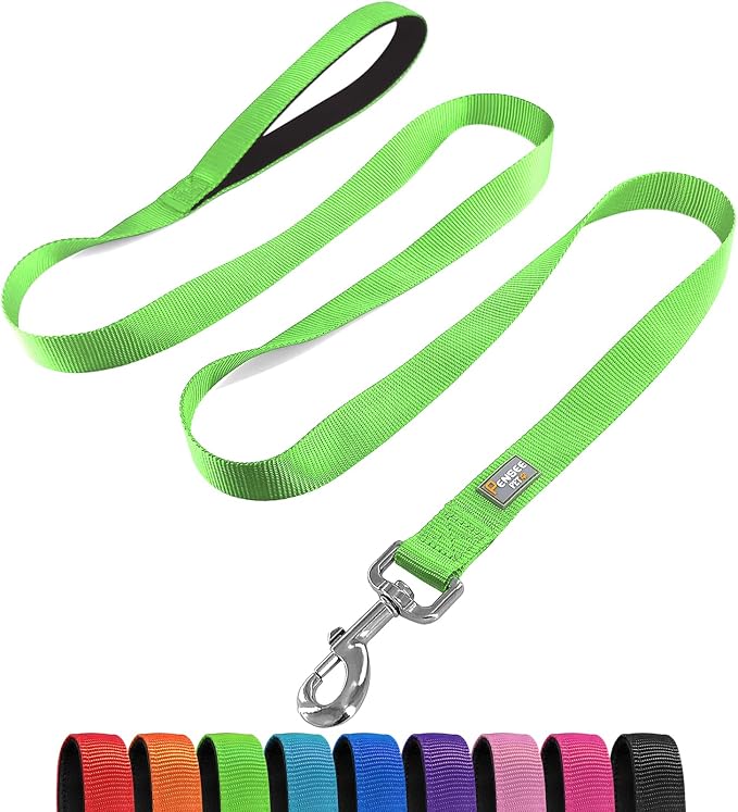 6 FT Reflective Dog Leash for Large Dogs, Green | Padded Handle,Metal D-Ring,Heavy Duty Nylon Webbing, for Walking & Training by Penseepet
