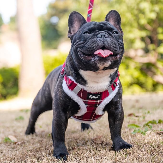 PUPTECK Dog Harness and Leash Set Medium Sized, Step in No Pull Adjustable Puppy Cat Harness Reflective Pet Vest - Image 5