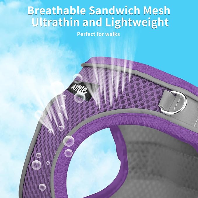 AIITLE Medium Dog Harness and Leash Set, Step-in Puppy Pet Vest, Purple XL | Breathable Mesh, Adjustable Fit, Reflective Design, Padded Leash Handle, for Small-Medium Dogs & Cats, Walking, Training - Image 3
