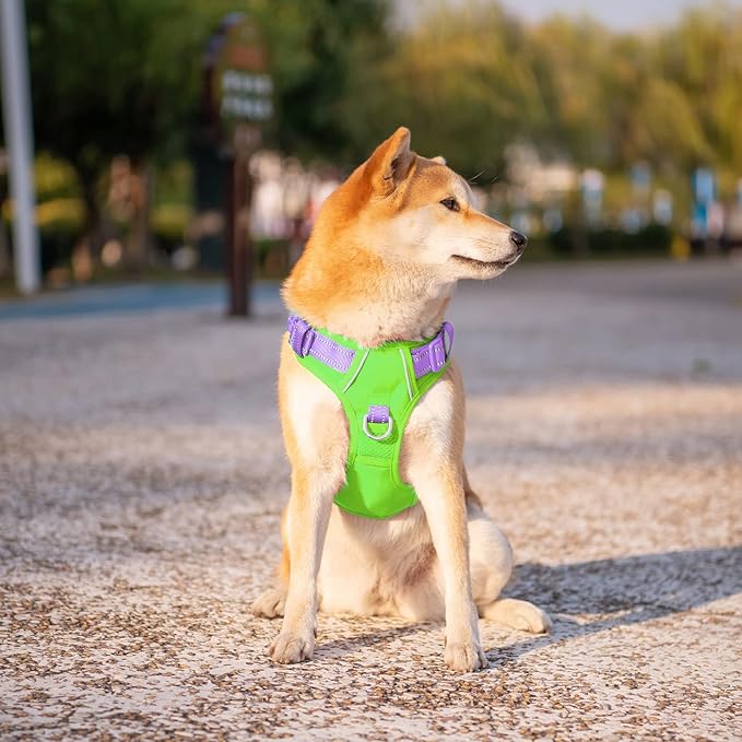 No Pull Dog Harness, Unique Colors Reflective Adjustable Dog Vest | with Soft Training Handle Metal Clips for Small Medium Large Dogs (Green Base & Purple Straps,M) - Image 3