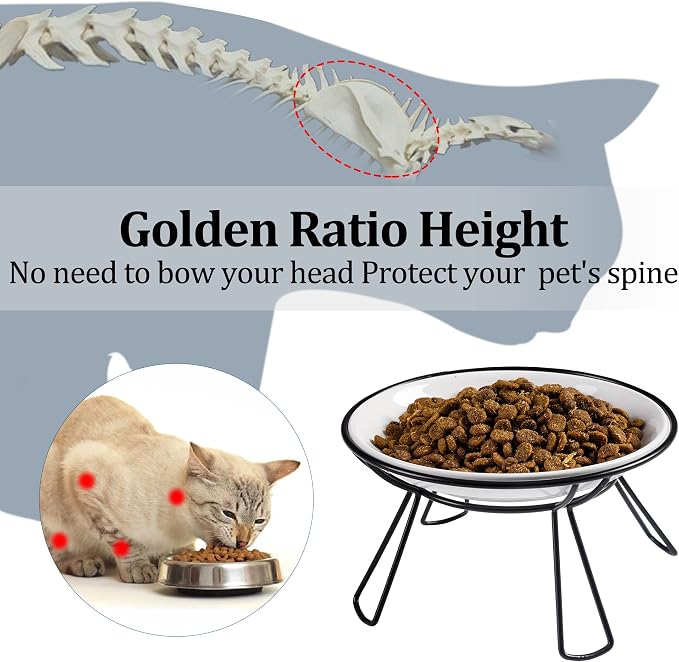Cat Bowls, Elevated Bowl, Raised Ceramic Dish with Metal Stand, Pet Water or Food Feeding Station for Indoor Cats, Kitten, Puppies and Small Dogs(2 Pack) - Image 2