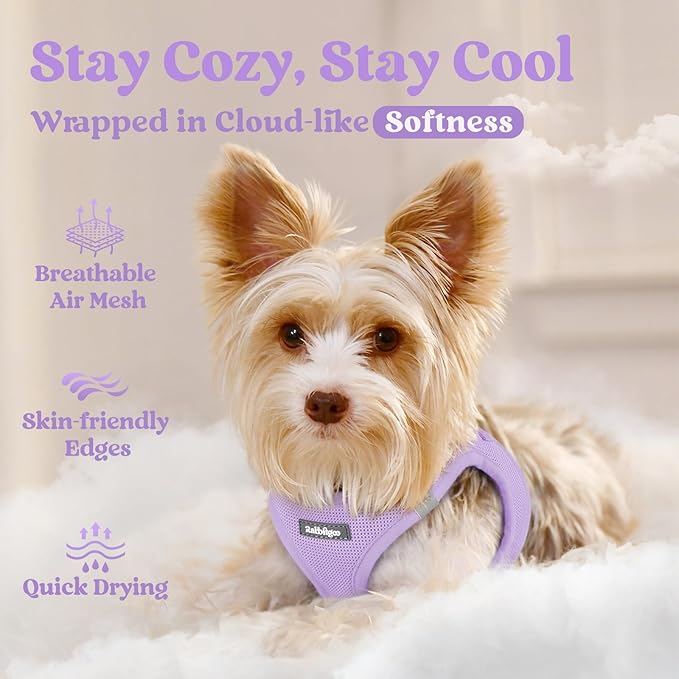 rabbitgoo Step-in Small Dog Harness, Puppy Vest for Small Sized Pet | Easy Put on and off, Lightweight, Soft, Breathable Quick-Dry Air Mesh for Comfortable Secure Walking, Light Purple XS - Image 3