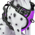 PoyPet No Pull Dog Harness Large, Reflective Vest with Front Clip & Handle | Easy On/Off, No Choke, Adjustable, 2 Leash D-rings, Soft Padded, Breathable, Oxford, for Walking Training, L, Purple by PoyPet
