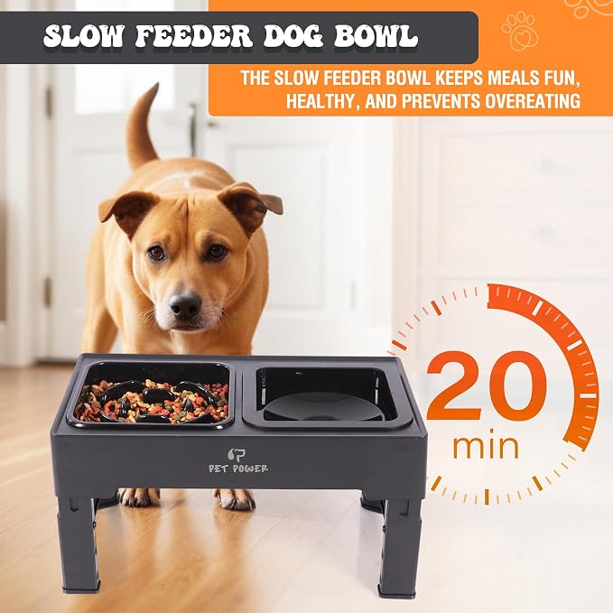 Elevated Dog Bowls with Collapsible Scoop, Slow Feeder Dog Bowls & No-Spill Water Bowl, Raised Dog Bowl Stand 4 Adjustable Heights for Small, Medium & Large Dogs - Image 5