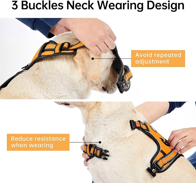 IVY&LANE No Pull Dog Harness for Large Dogs, Dog Vest Harness with Leash, Safety Belt and Storage Strap, Fully Adjustable Harness, 360° Reflective Strip, Soft Handle (Orange, L) - Image 4