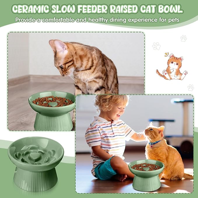 Tioncy 2 Pcs Ceramic Elevated Slow Feeder Cat Bowl, Raised Cat Slow Feeder Bowl, Anti Vomiting for Dry and Wet Food, No Spill High Edge Easy Clean Dishwasher Safe (Sage Green) - Image 6