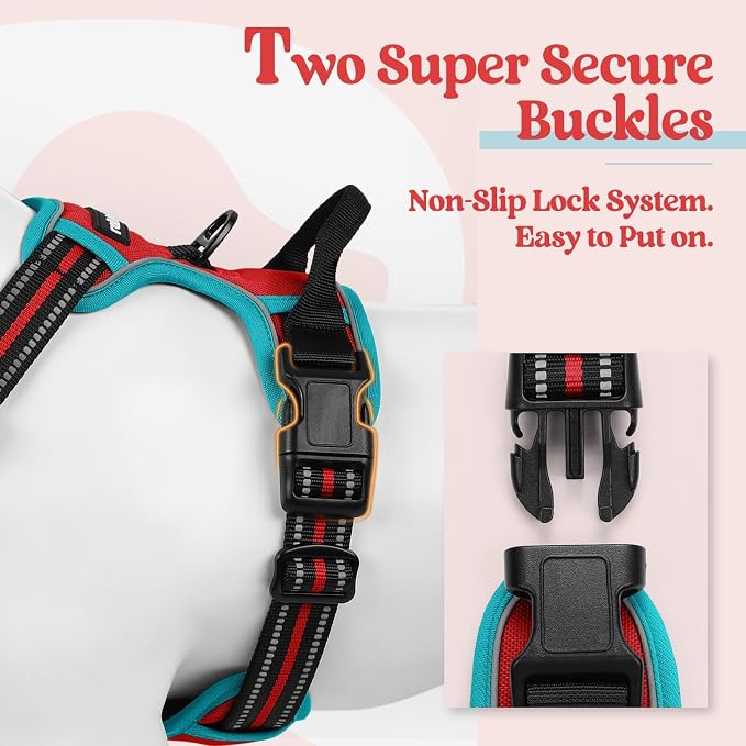 rabbitgoo Dog Harness, No Pull for Small Dogs with 2 Leash Clips, Pet Vest | No Choke with Handle, Adjustable Soft Padded, Reflective, Easy Control for Walking, Red & Teal, Small - Image 3