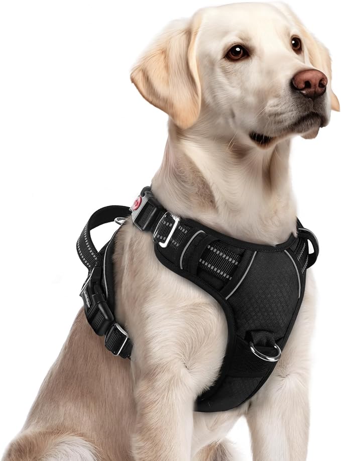 rabbitgoo Dog Harness for Large, No Pull 3 Buckles Easy On & Off | Soft Padded, Walking with Control Handle, Adjustable and Reflective, Black, Large by rabbitgoo
