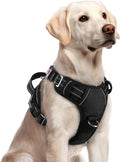 rabbitgoo Dog Harness for Large, No Pull 3 Buckles Easy On & Off | Soft Padded, Walking with Control Handle, Adjustable and Reflective, Black, Large by rabbitgoo