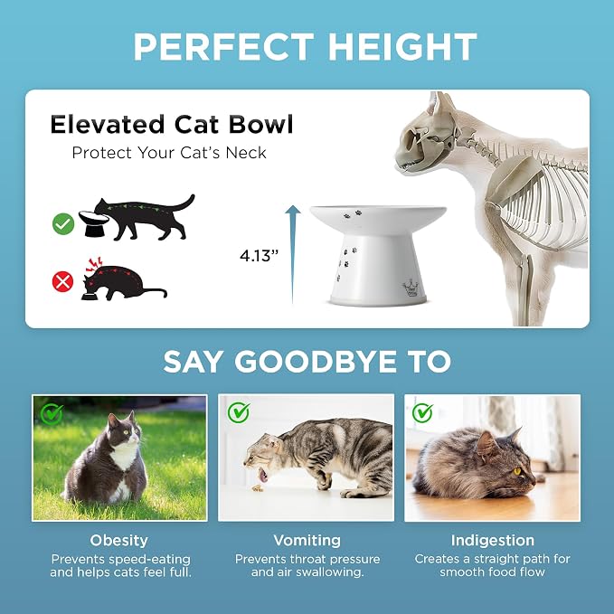 Necoichi Ceramic Extra-Wide Elevated Cat Food Bowl (Cat, Extra Wide) - Image 6