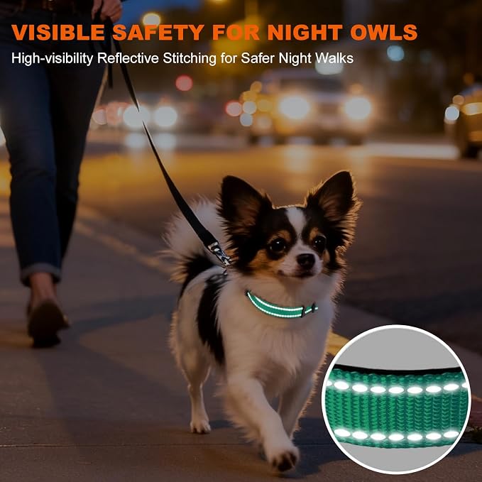 Taglory Reflective Dog Collar for Puppies, Gentle and Safe for Night Walks | Night-Walk Visibility, Soft Neck Cushioning, Adjustable 8-12 in, Locking Buckle, D-Ring for Leash and ID Tags - Image 5