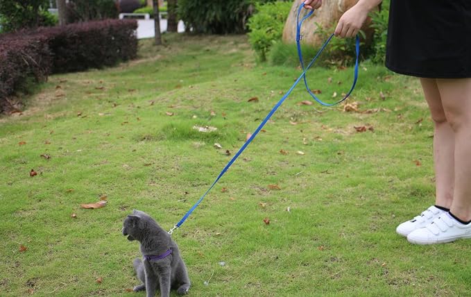 AMAGOOD 6 FT Cat Leash, Strong and Durable Traditional Style Leash with Easy to Use Collar Hook,Cat Lead Great for Cats (3/8 in x 6 ft,Black and Blue(2-Pack)) - Image 5