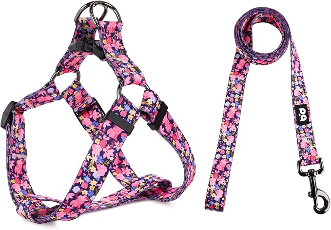 Dog Harness Leash Set Adjustable Heavy Duty No Pull Halter Harnesses for Small Medium Large Breed Dogs Back Clip Anti-Twist Perfect for Walking by QQPETS
