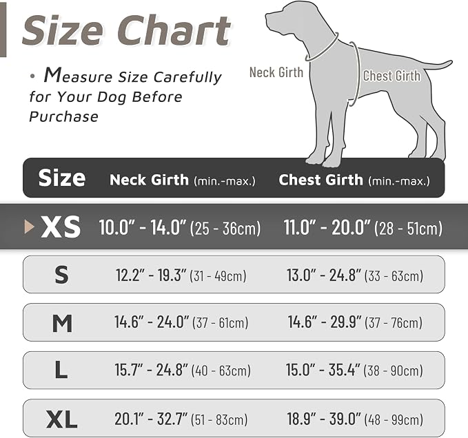 Eagloo Dog Harness for Small Dogs, No Pull Pet Vest with 2 Leash Clips | No Choke with Handle, Adjustable Comfort Fit, Reflective Strips, Easy Walking Control, Brown, X-Small - Image 2