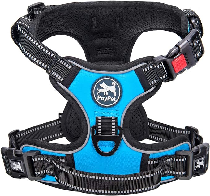 PoyPet No Pull Dog Harness Small with Front Clip & Neck Release Buckle | No Choke, Adjustable Vest, Reflective, Back Clip, Lockable, Soft Padded, Easy Control Handle for Walking Training, XS, Blue by PoyPet