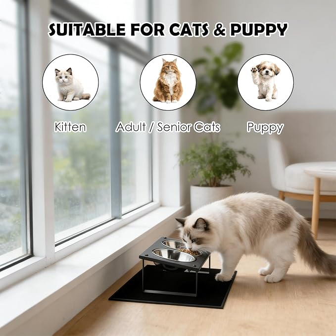 Elevated Cat Bowls with Splash Proof Mat for Kitten Puppy, 10° Tilted Raised Cat Bowl Stand Anti-Vomiting, 2 Wide Shallow Stainless Steel Bowls, Whisker Friendly, 3.5" Tall - Image 3