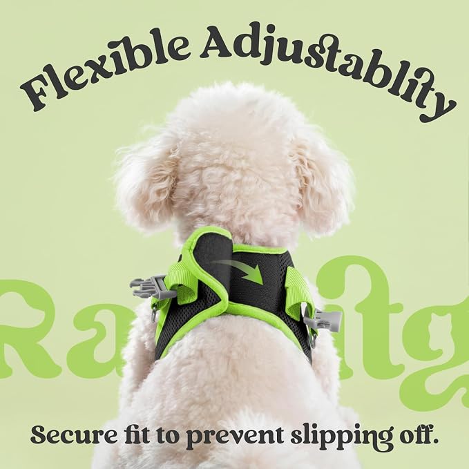 rabbitgoo Dog Harness Small Sized and Leash Set, Step in Soft Vest | Breathable Mesh, Easy Wear with Hook & Loop, Light and Reflective for Walking, Multi-colored, Black & Green, M - Image 6