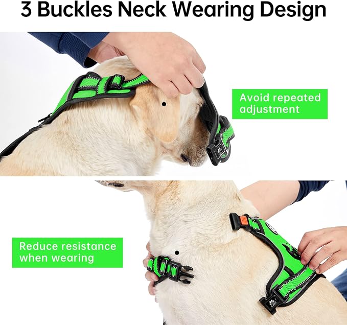 IVY&LANE No Pull Dog Harness for Large Dogs, Dog Vest Harness with Leash, Safety Belt and Storage Strap, Fully Adjustable Harness, 360° Reflective Strip, Soft Handle (Green, L) - Image 4