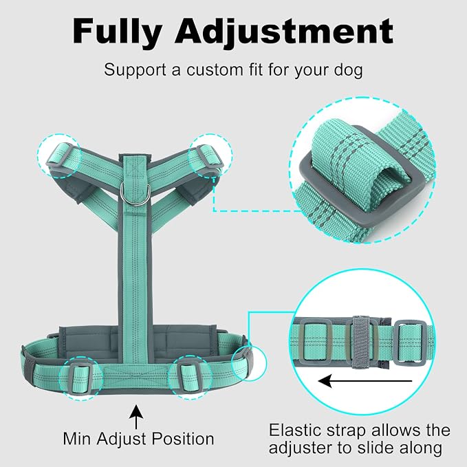 Plutus Pet No Pull Dog Harness, Adjustable Nylon Harness with Soft Padding | Reflective with Front Clip, Heavy Duty for Training and Walking, for Small Medium Large Dogs, Teal, M - Image 8