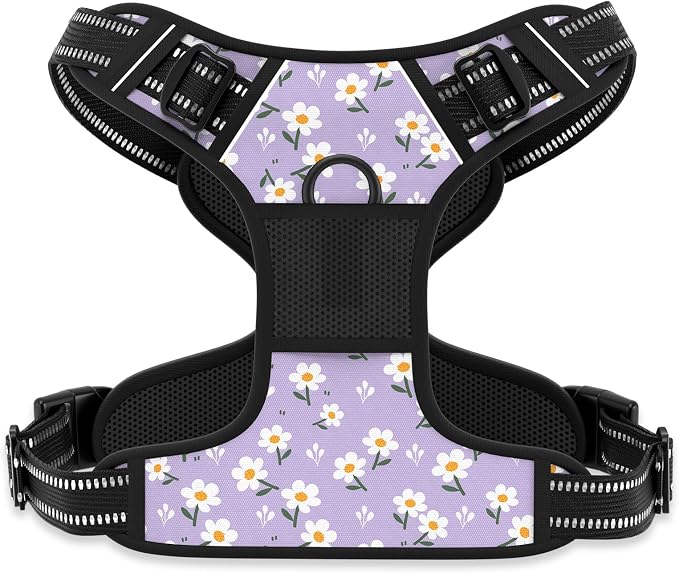 Rnivvi No Pull Dog Harness, Cute Flower Reflective X-Small Sized Puppy Harness, Adjustable Soft Padded Vest for Small Dogs, Cats, Heavy Duty Pet Vest with Easy Control Handle for Walking, Purple White by Rnivvi