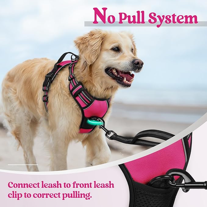 rabbitgoo Dog Harness, No Pull for Large Dogs with 2 Leash Clips, Pet Vest | No Choke with Handle, Adjustable Soft Padded, Reflective, Easy Control for Walking, Hot Pink, Large - Image 5