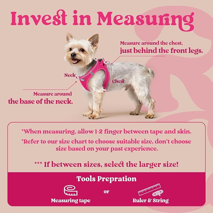 rabbitgoo Step-in Small Dog Harness, Puppy Vest for Small Sized Pet | Easy Put on and off, Lightweight, Soft, Breathable Quick-Dry Air Mesh for Comfortable Secure Walking, Rose Red XS - Image 2