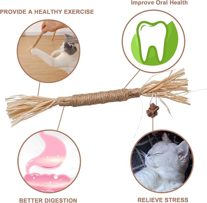 PAZ'S GIFT Catnip Toy Cat Toys Catnip Toy cat chew Toy cat Kicking silvervine Stick Teeth Cleaning Cute Kitten Teething Indoor Interactivecat Dental Care Matatabi (Raffia 2pcs) - Image 3