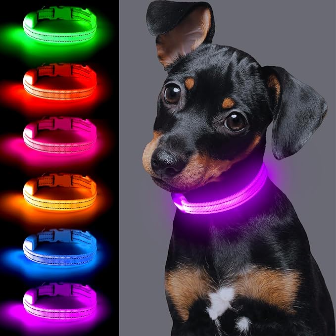 Light up Dog Collar for Small Dog,Vizpet XS Adjustable Size Nylon Collar USB Rechargeable Bright Safety Pet Collar for Cats Dogs (Purple) - Image 2