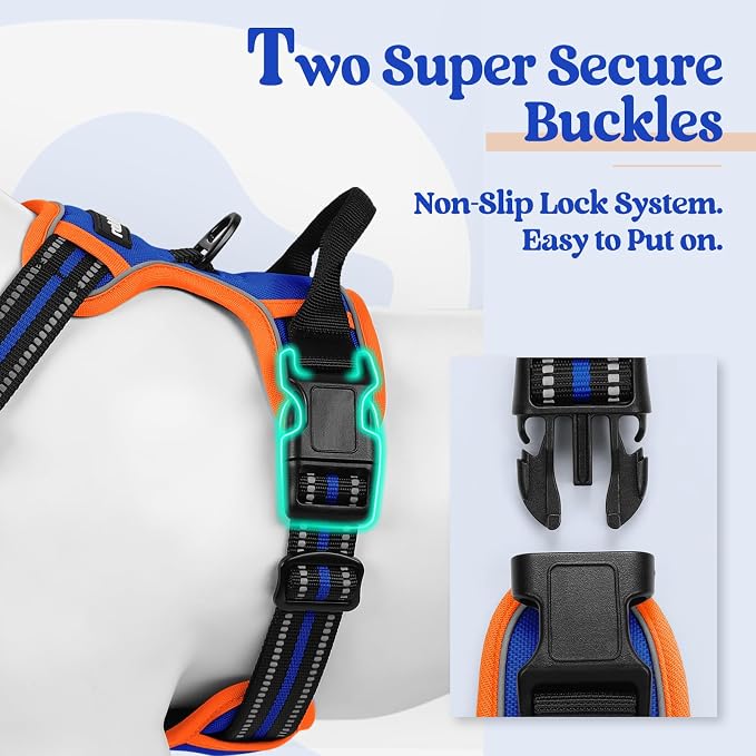 rabbitgoo Dog Harness, No Pull Medium Sized with 2 Leash Clips, Pet Vest | No Choke with Handle, Adjustable Soft Padded, Reflective, Easy Control for Walking, Blue & Orange, Medium - Image 3
