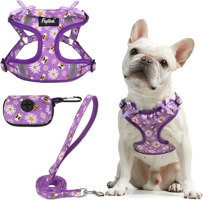 PUPTECK Dog Harness and Leash Set Medium Sized, Step in No Pull Adjustable Puppy Cat Harness Reflective Pet Vest by PUPTECK