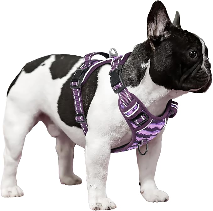 Timos Small Dog Harness, No Pull No Choke, Easy On & Off, Moon Night, XS | Adjustable Reflective Soft Padded, Neck Quick Release with 3 Buckles, Front & Back 2 Clips and Handle for Walking Training - Image 6