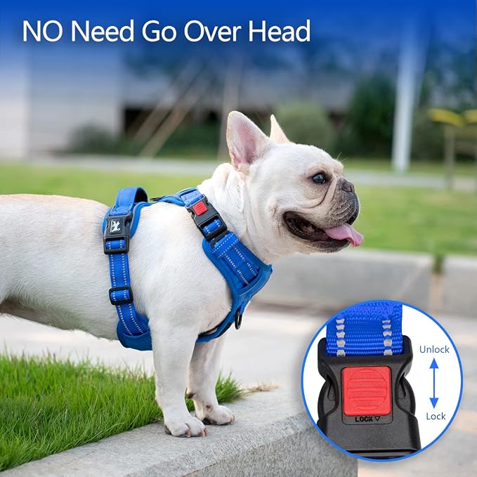 PoyPet No Pull Dog Harness, Reflective Vest with 2 Leash Clips & Handle | Lockable Neck Release Buckle, No Choke, Adjustable, Soft Padded, for Walking Training, Royal Blue, Large - Image 2