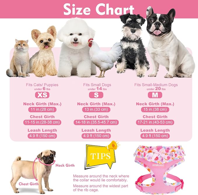 EXPAWLORER Step-in Dog Harness Small Sized and Leash Set | Cute Small Dog Harness No Pull Girl, Breathable Soft Mesh Padded, Adjustable Light Puppy Vest for Dogs Cats, Floral XS - Image 2
