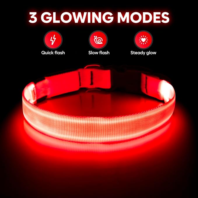 Illumifun LED Dog Collar - Adjustable Light Up Dog Collar - Safety Pet Collar Light Make Your Dogs Safe& Seen at Night (Red, Small) - Image 2