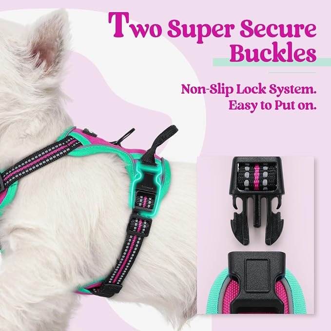 rabbitgoo Dog Harness, No Pull for Small Dogs with 2 Leash Clips, Pet Vest | No Choke with Handle, Adjustable Soft Padded, Reflective, Easy Control for Walking, Hot Pink & Turquoise, X-Small - Image 3