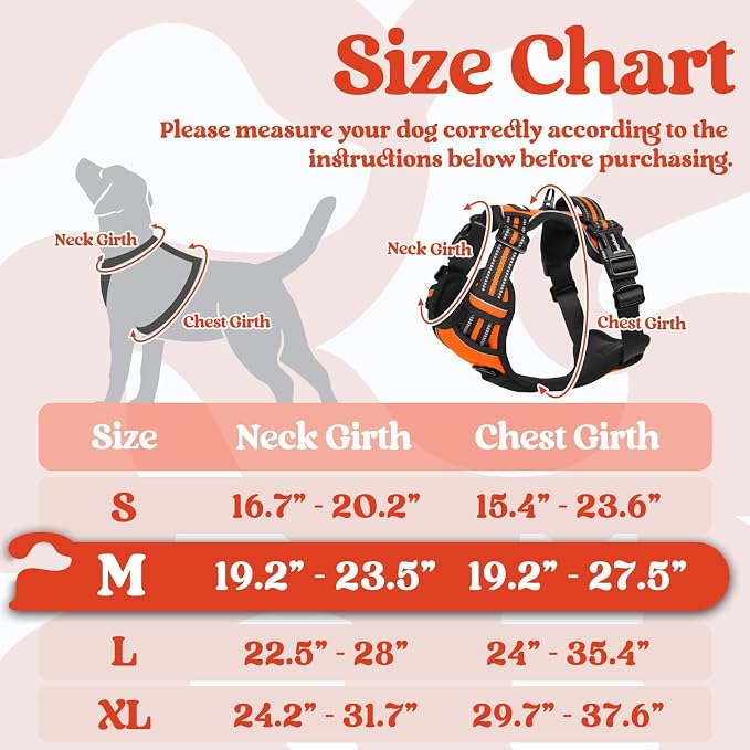 rabbitgoo Dog Harness Medium Sized, Updated Easy On & Off with 3 Buckles | No Pull No Choke, Walking with 2 Clips and Handle, Adjustable Soft Reflective, Orange, Medium - Image 2