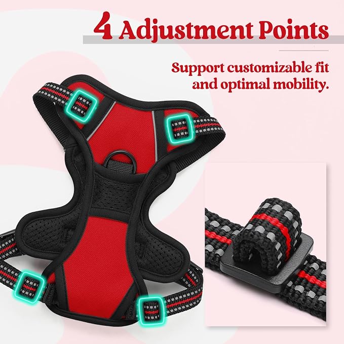 rabbitgoo Dog Harness, No Pull for Small Dogs with 2 Leash Clips, Pet Vest | No Choke, Adjustable, Breathable Padded, 2 Lead Rings, Reflective, Easy Control for Walking Training, XS, Red - Image 4