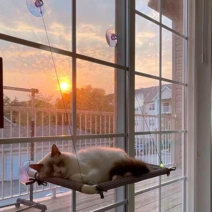 Cat Window Perch Suction Cup - 4 Pack Replacement Clear PVC Sucker Pads for Cat Hammocks, Beds, Perches - Strong & Powerful Large Suction Cups (3.4in/85mm) - Image 6